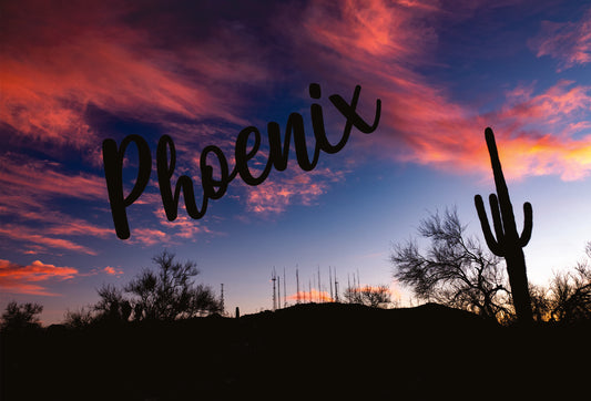Phoenix Saguaro Pink Sunset Photograph on a Magnet