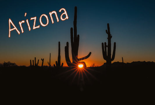 Saguaro Sunset  photograph on postcard