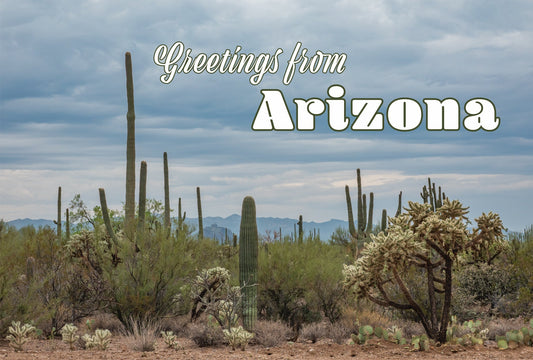 Greetings from Arizona Desert Scene Sticker