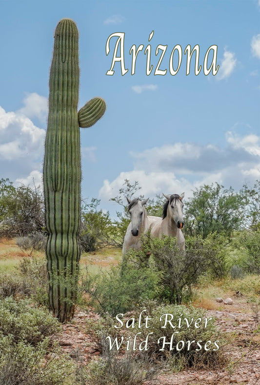 Salt River Wild Horses with Saguaro Sticker