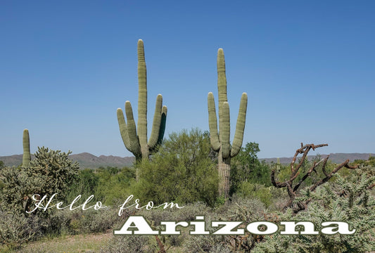 Two Saguaros Photograph on a Magnet