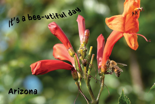 Bee Photo Magnet