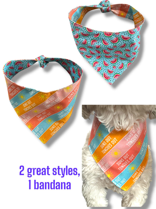 Suns out tongues out dog bandana -tfreedom (Copy)