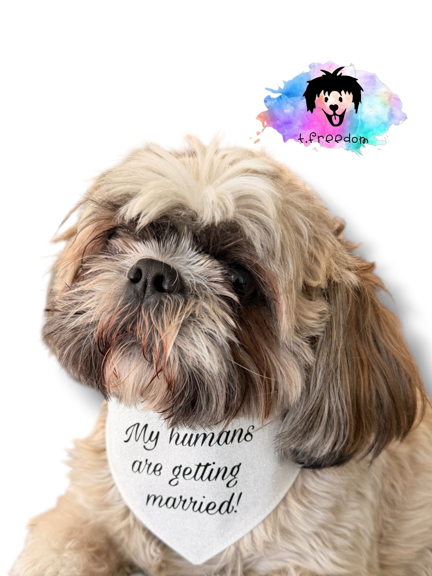 Getting married dog bandana -tfreedom