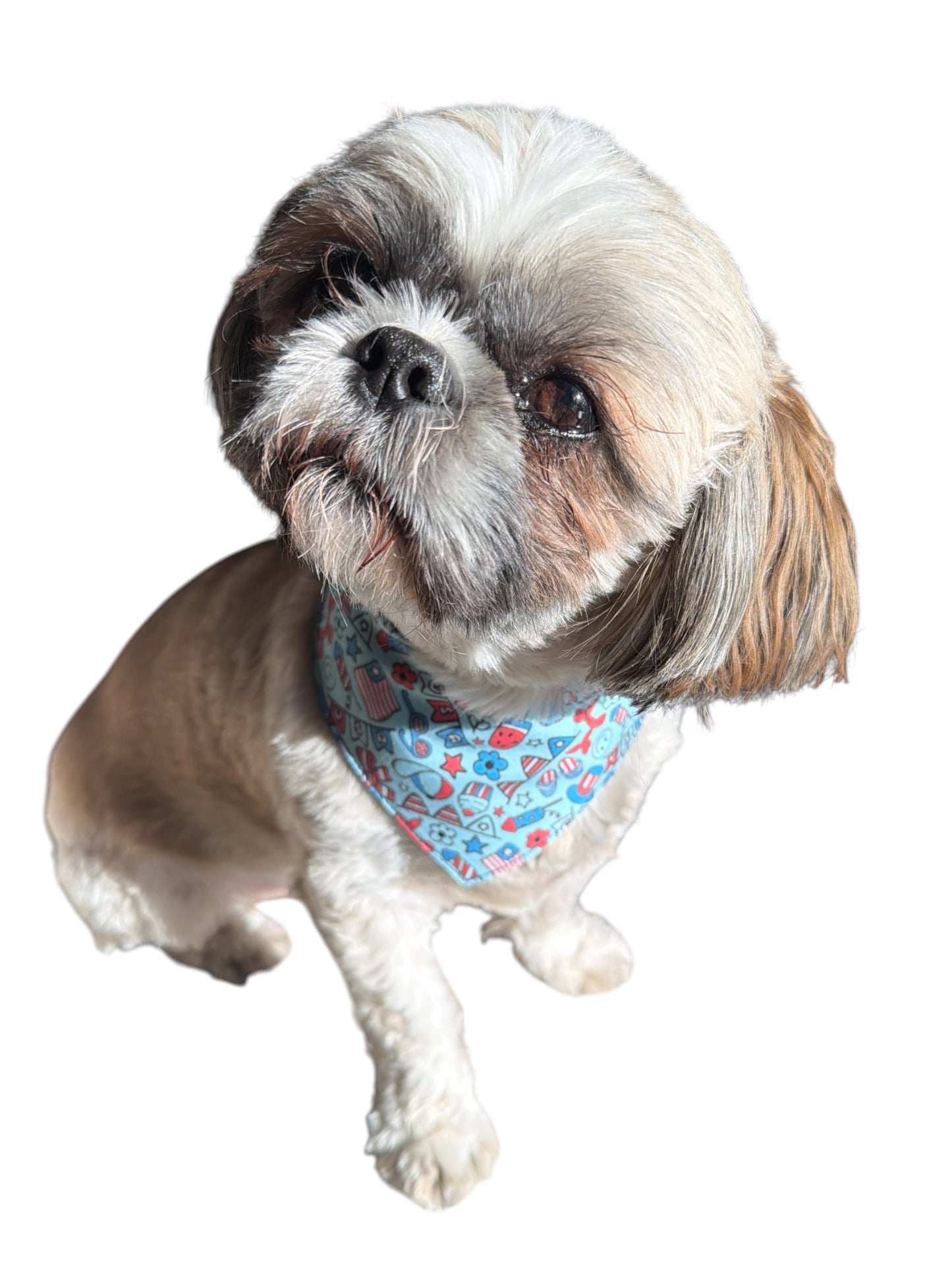 Barkin’ in the USA dog bandana -tfreedom