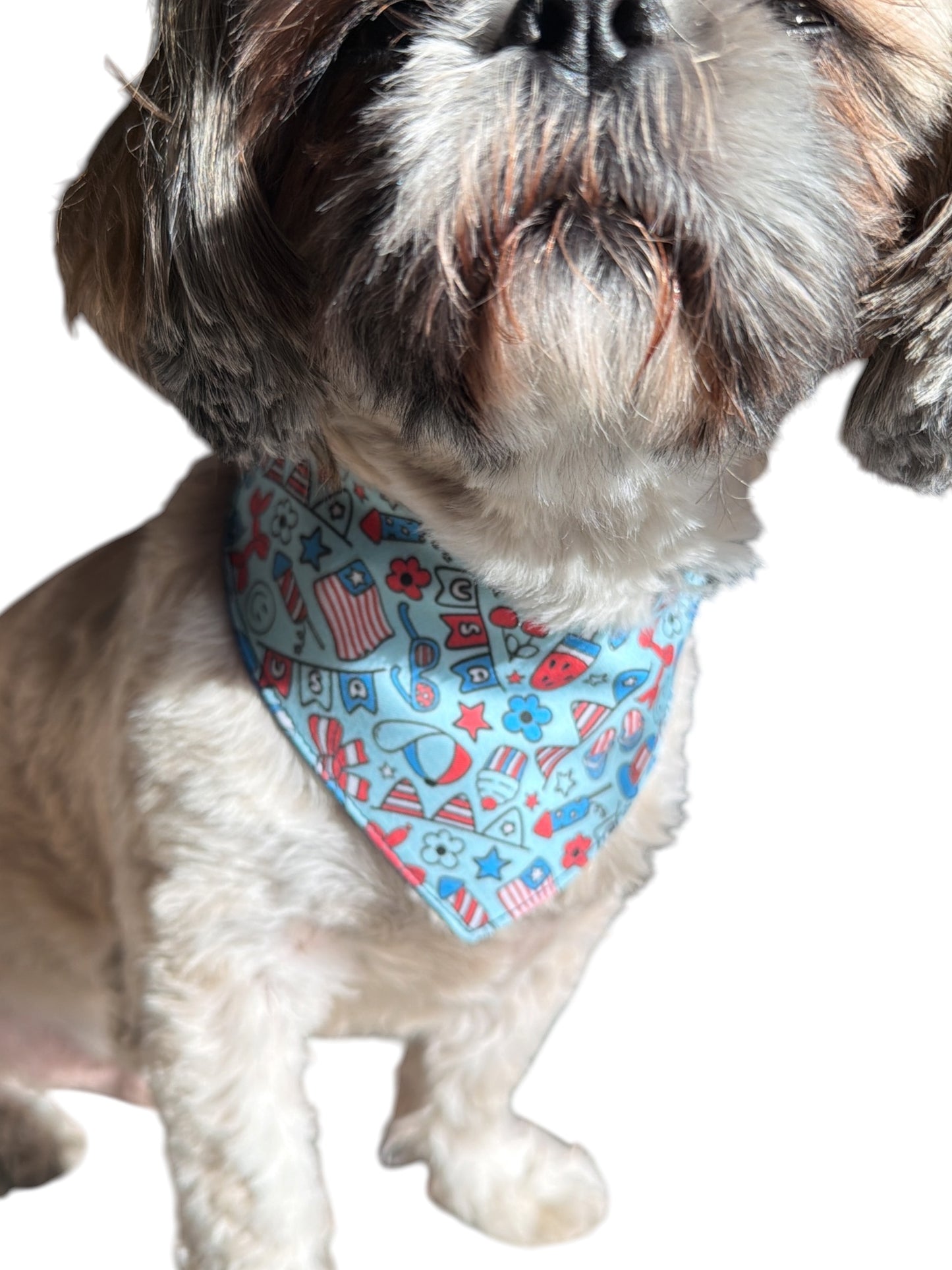 Barkin’ in the USA dog bandana -tfreedom