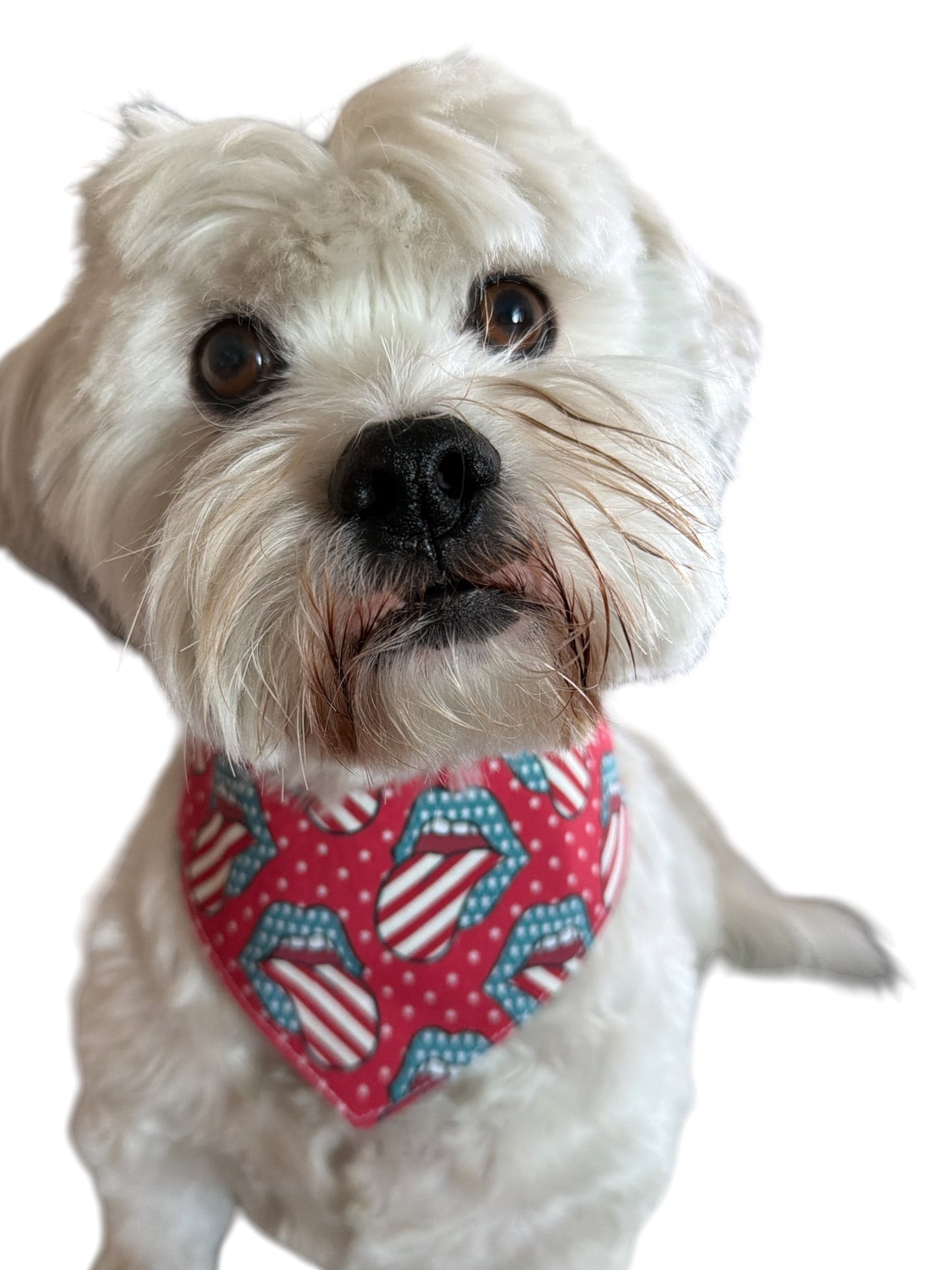 Liberty licks dog bandana -tfreedom