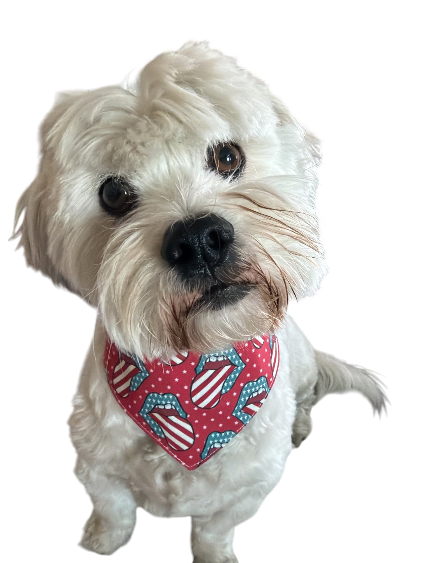 Liberty licks dog bandana -tfreedom