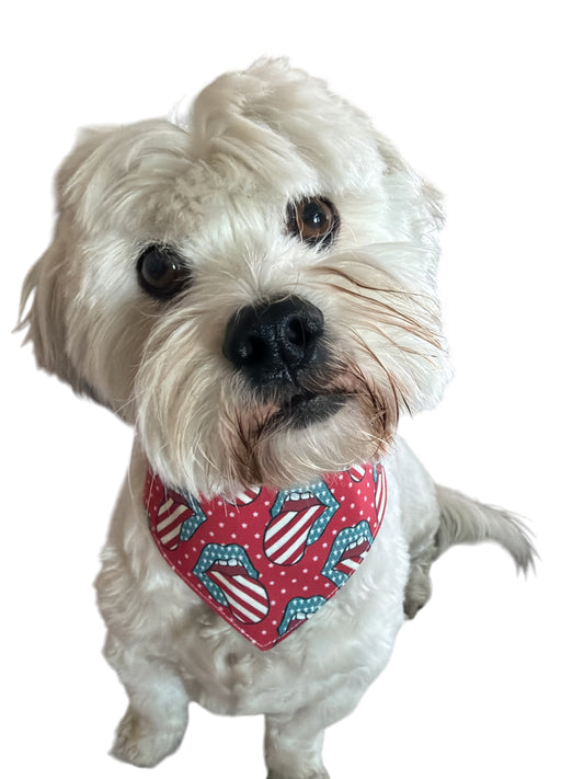 Liberty licks dog bandana -tfreedom