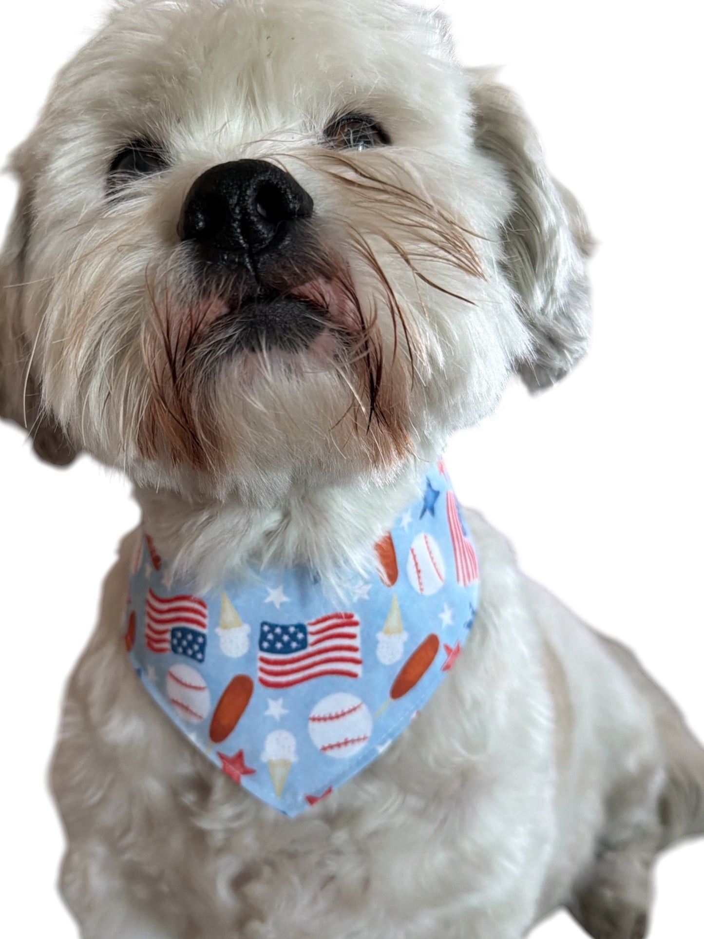 All-American Pup dog bandana -tfreedom