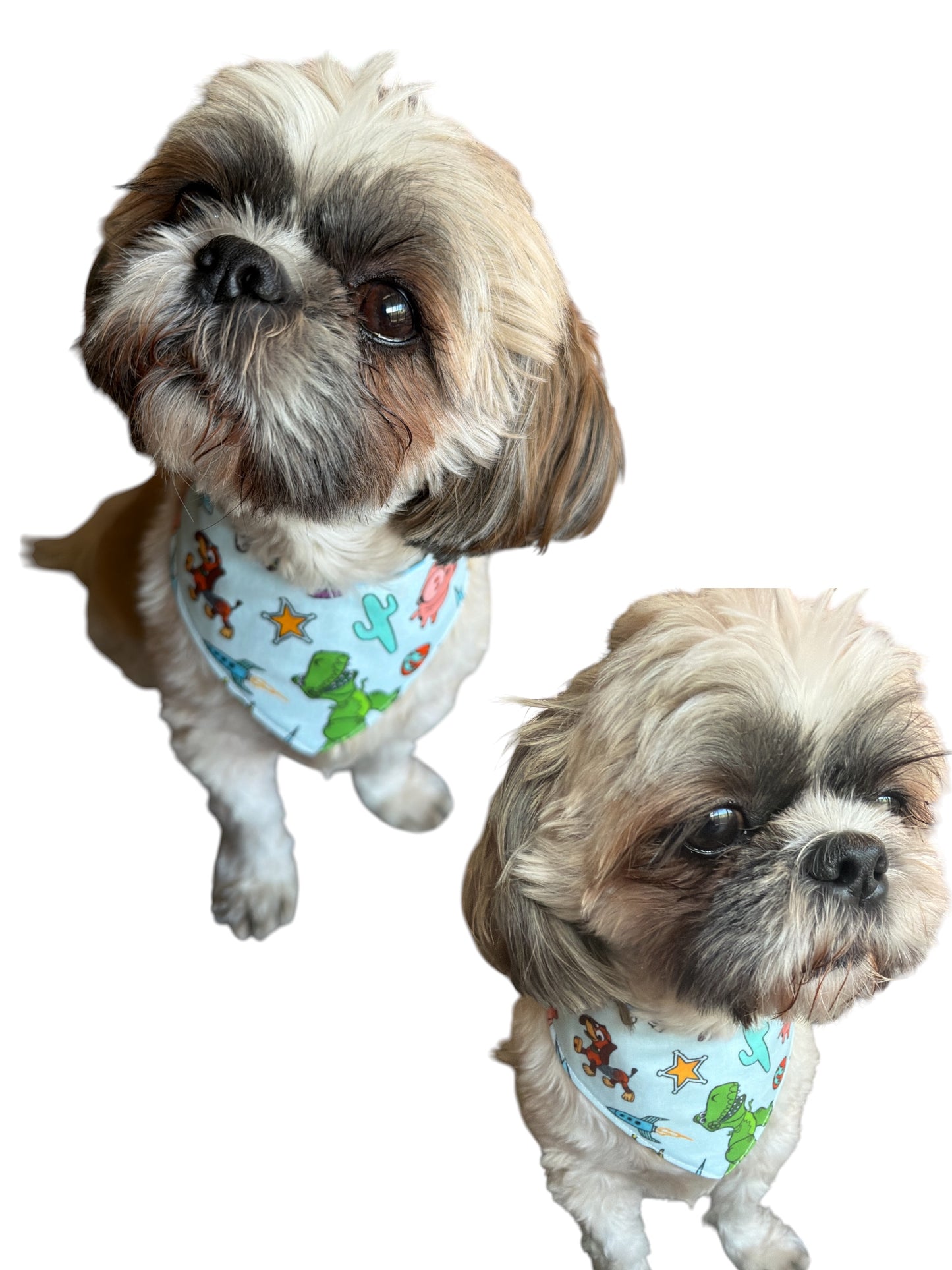 Andy’s Room (Toy Story) dog bandana -tfreedom