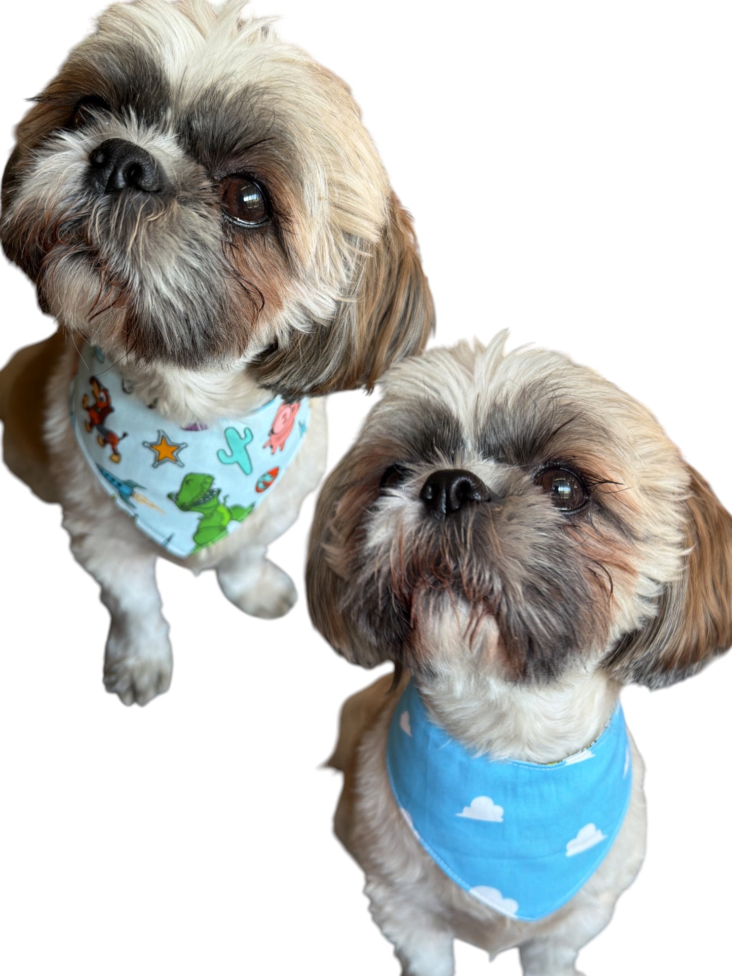 Andy’s Room (Toy Story) dog bandana -tfreedom