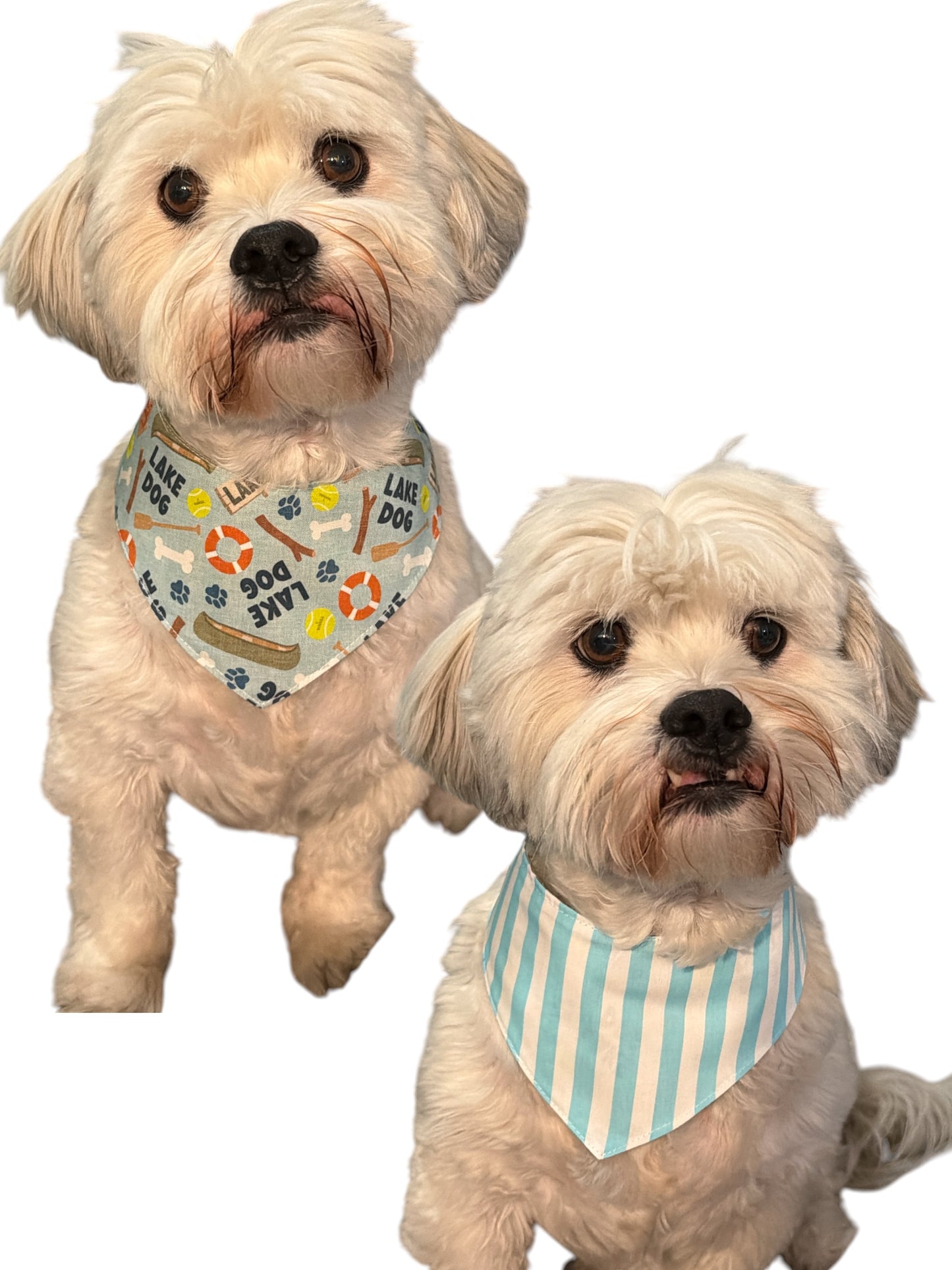 Lake dog dog bandana -tfreedom