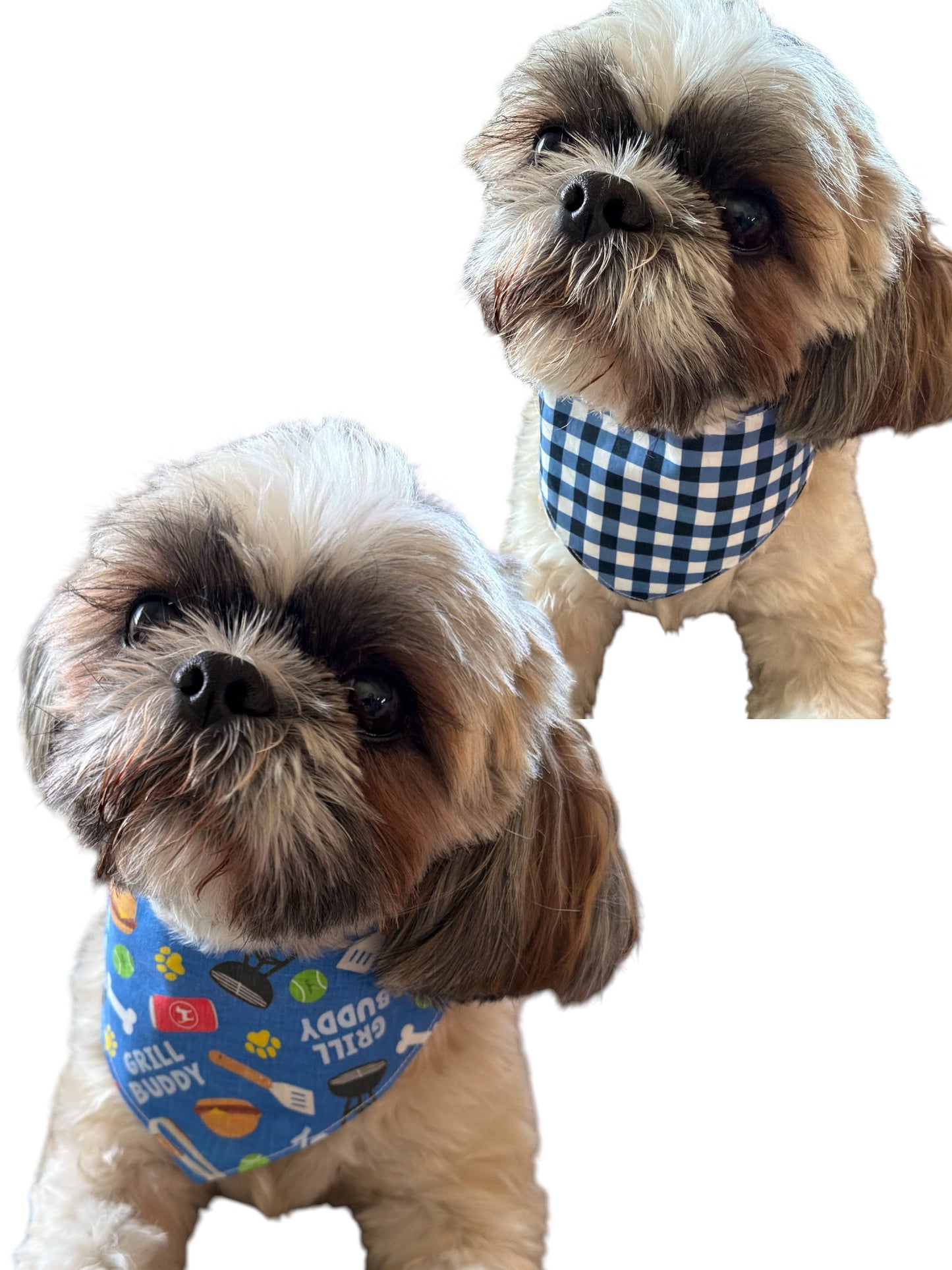 Grill Buddy dog bandana -tfreedom