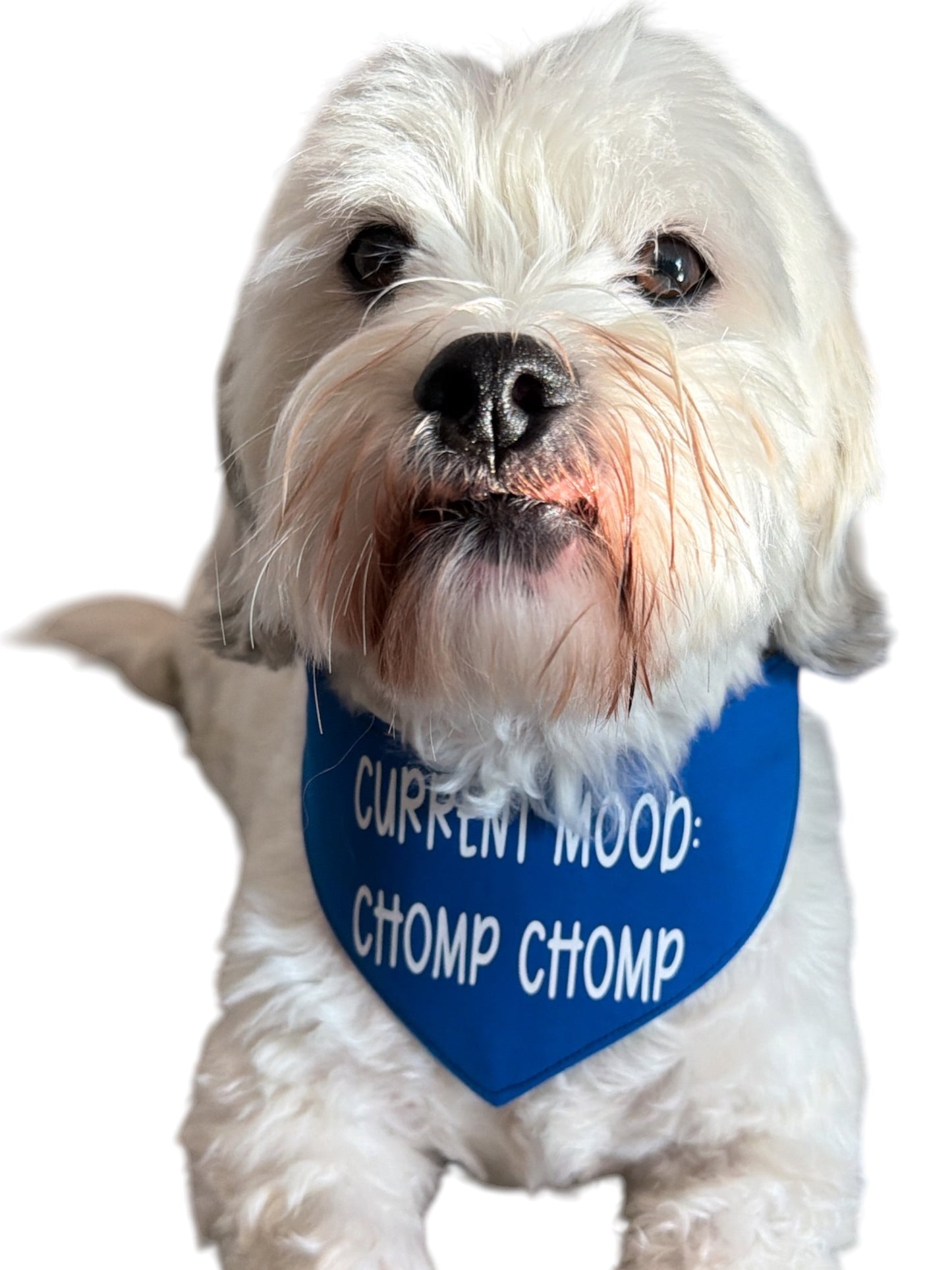 Chomp Chomp dog bandana -tfreedom