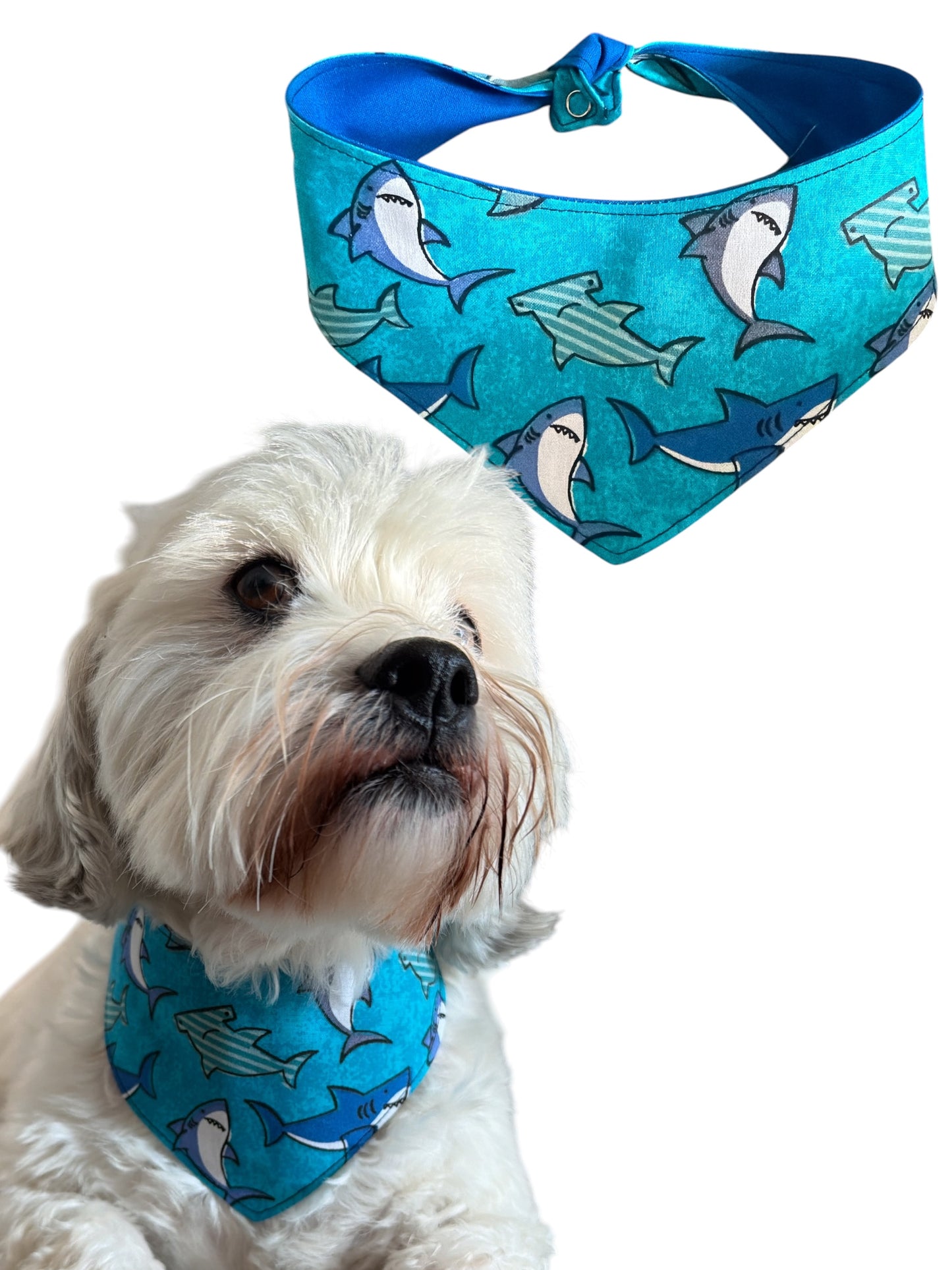 Chomp Chomp dog bandana -tfreedom
