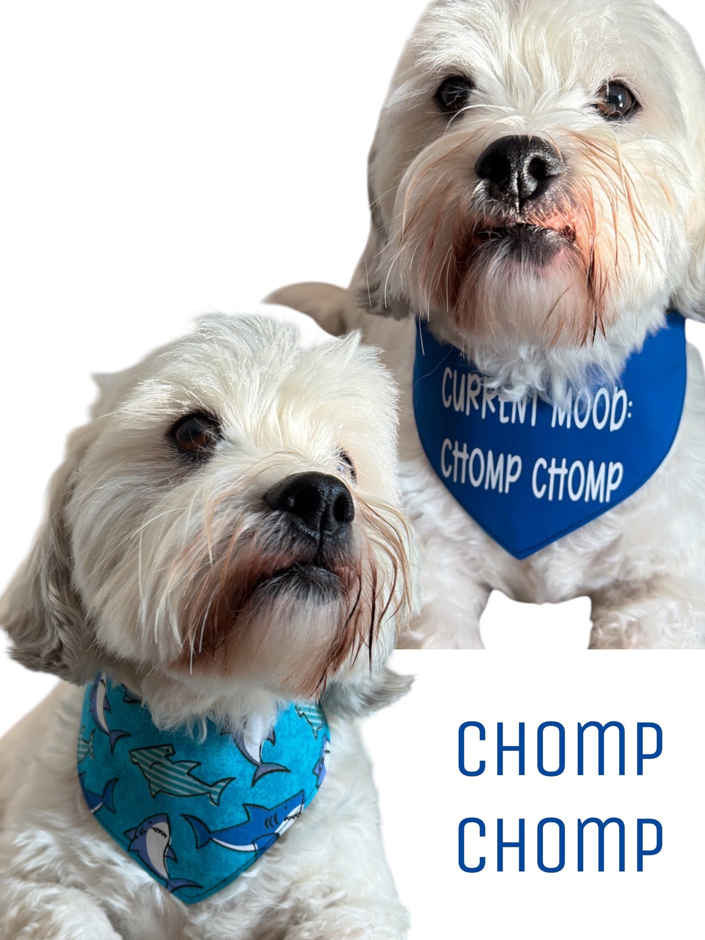 Chomp Chomp dog bandana -tfreedom