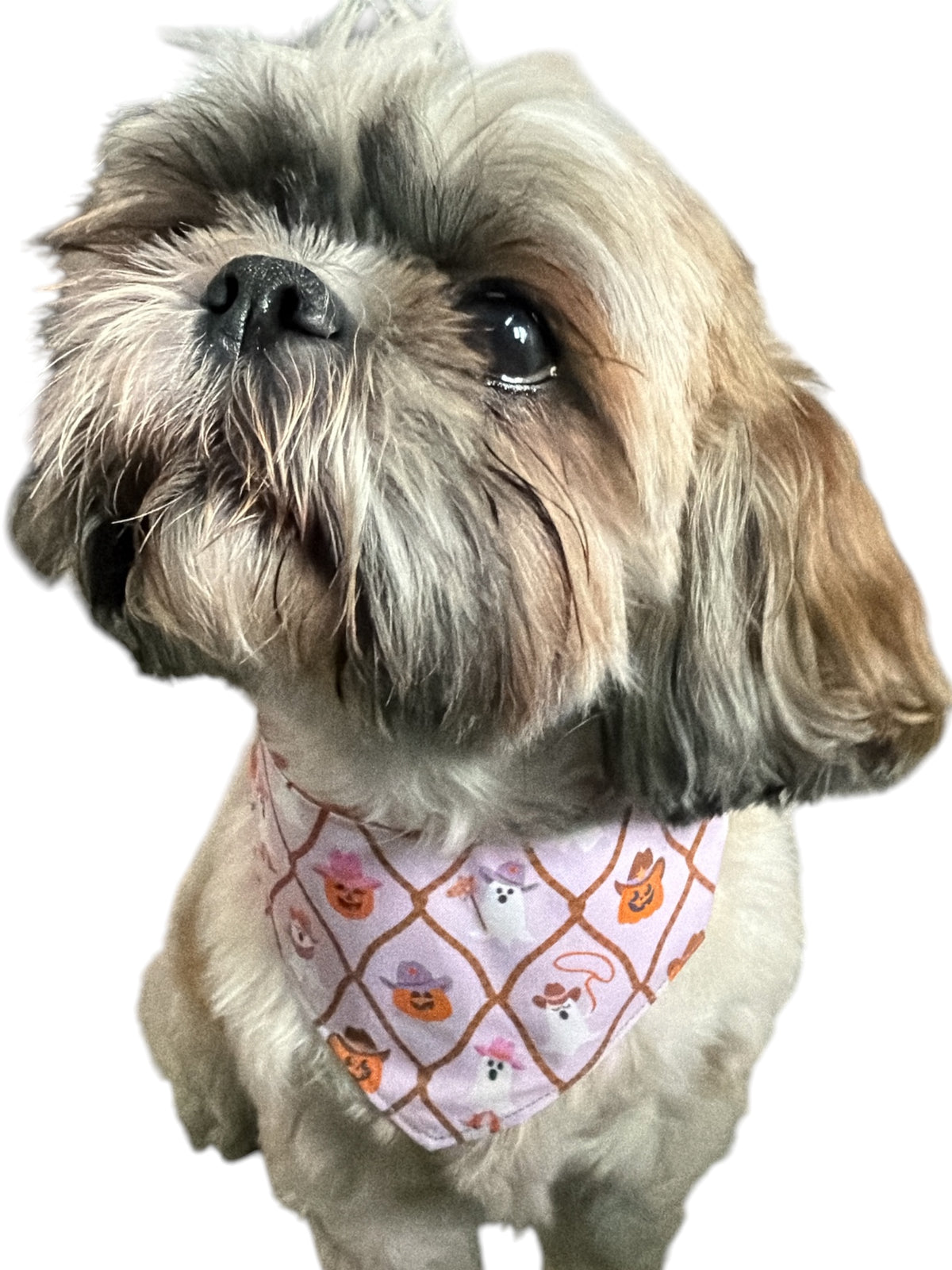 Pink ghouls bandana -tfreedom