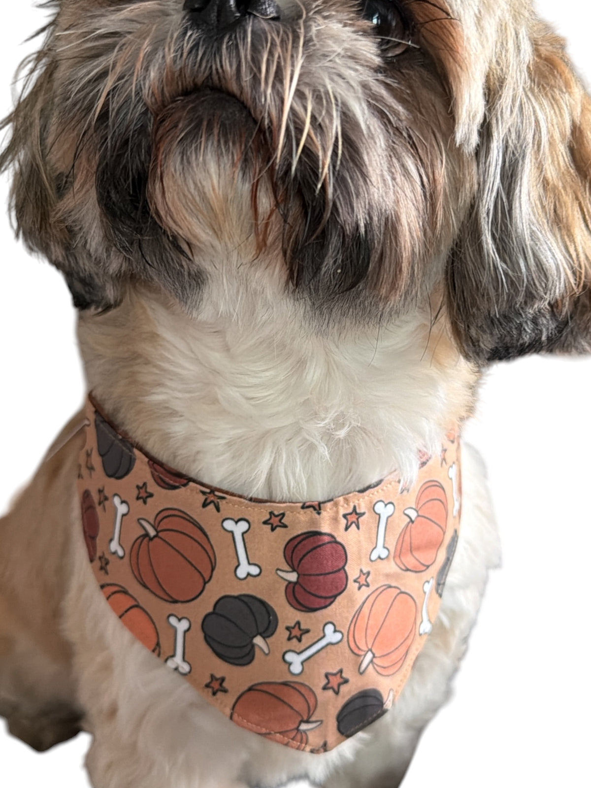 Autumn pumpkin patch bandana -tfreedom
