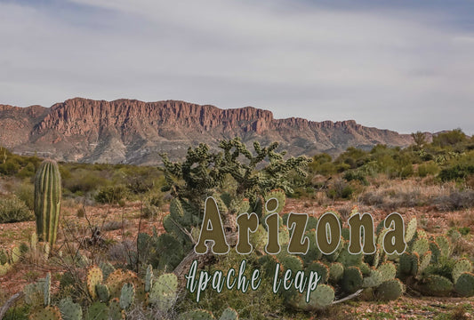 Apache Leap & Cacti Sticker