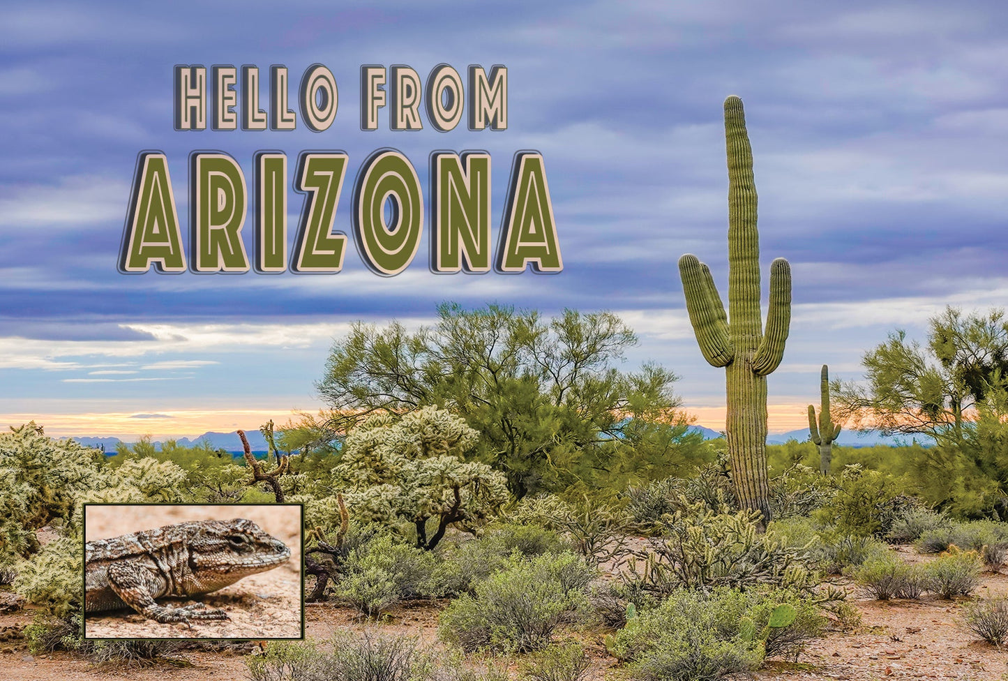 Hello From Arizona Saguaro Sunset Sticker