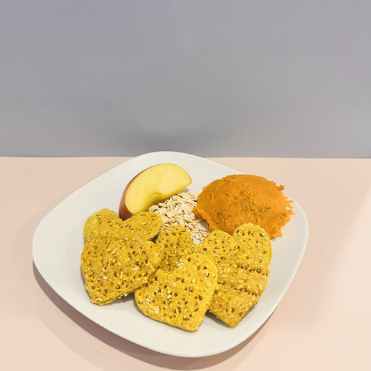 PUMPKIN SPICE DOG TREAT BEST FRIENDS BARKERY
