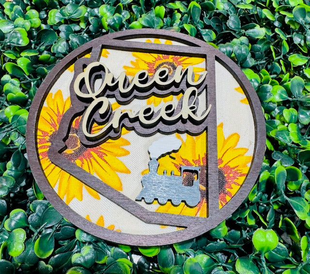 Magnetic Insert - Queen Creek, AZ - STV