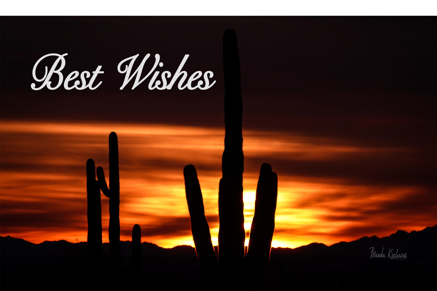 Saguaro Sunset Best Wishes Greeting Card
