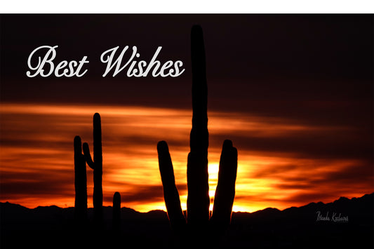 Saguaro Sunset Best Wishes Greeting Card