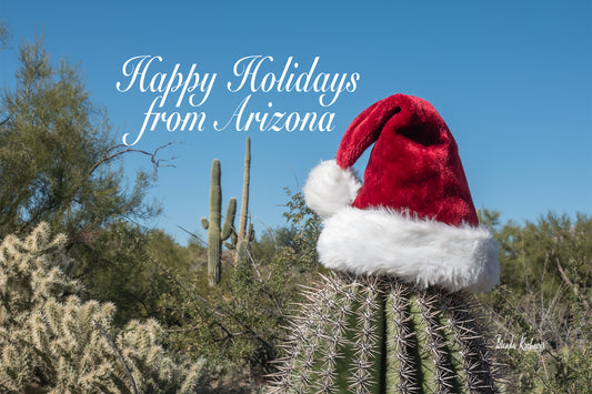 Arizona Christmas Photography Cards Box Set 5