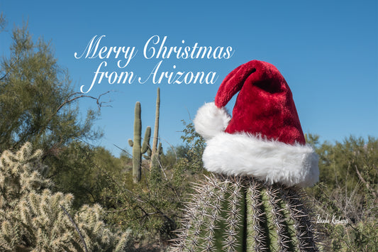 Arizona Christmas Photography Cards Box Set 6