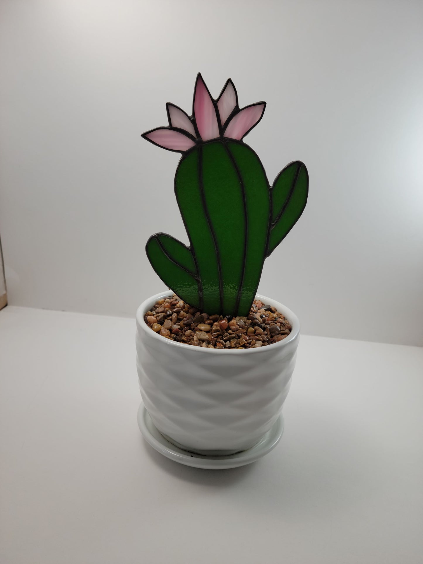 Potted Succulent - Stained Glass Saguaro 4"