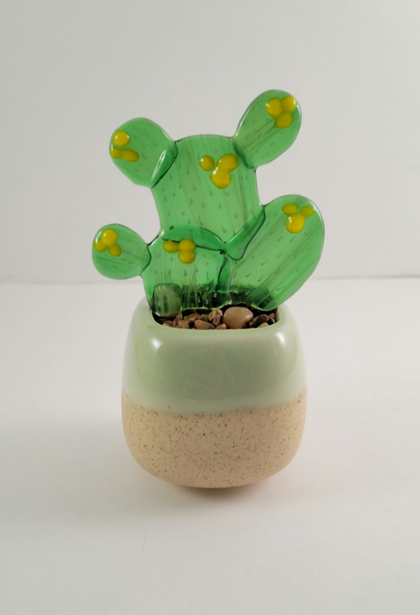 Succulent - 2.5" Prickly Pear