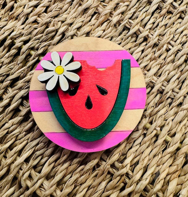Magnetic Insert - Watermelon - STV