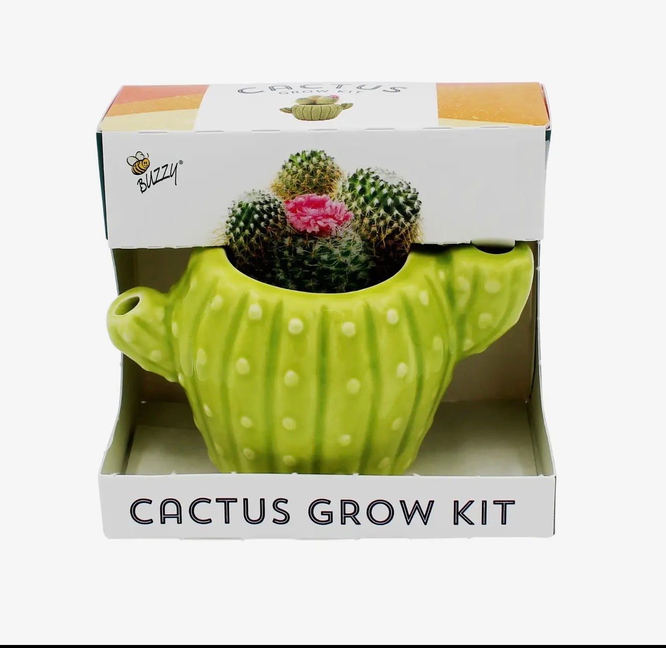 Grow Your Own Cactus  Treat Yourself boutiques