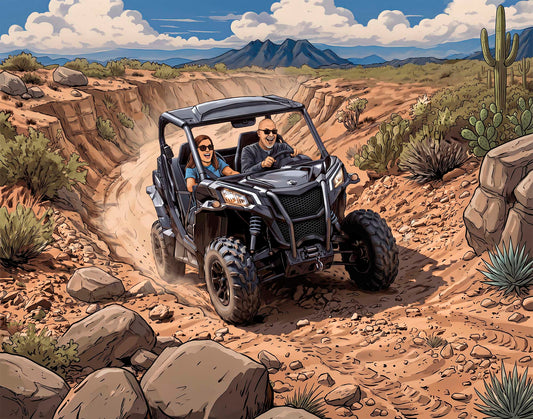 Custom Designed 3D Wall Art - Arid Desert Design