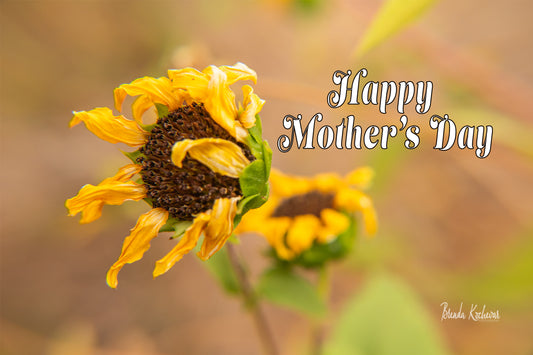 Wavy Sunflower Mother's Day Greeting Card