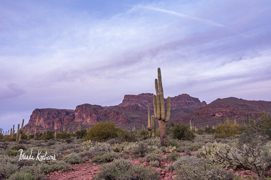 Superstition Mountain Sunset at Broadway Trail 14” x 10” Canvas