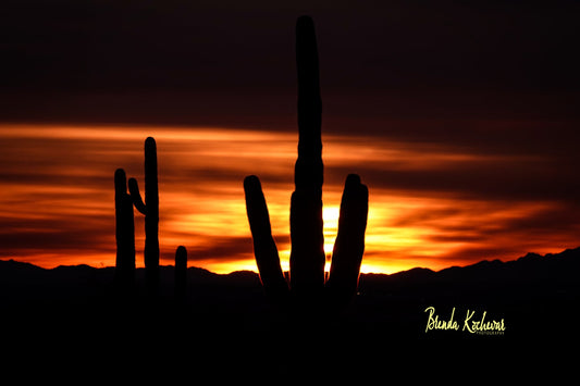 Saguaro Sunset Photograph on a 6"x4" Mini Canvas