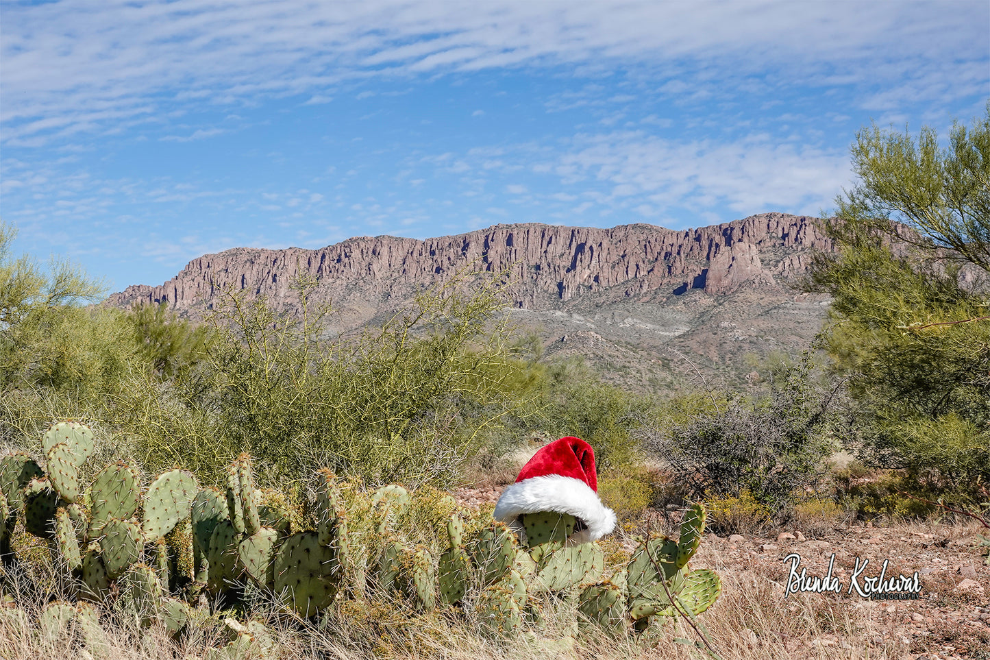 Apache Leap Christmas Hat1 Greeting Card