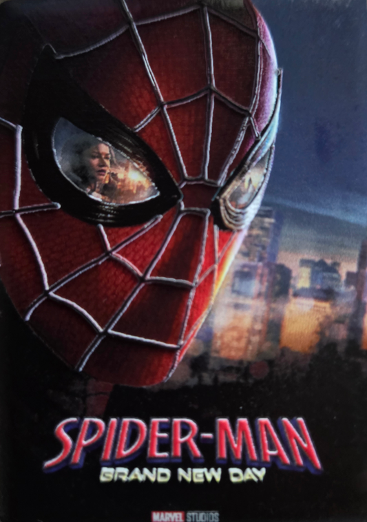Spider - Man movie poster Magnet - We customize crafts