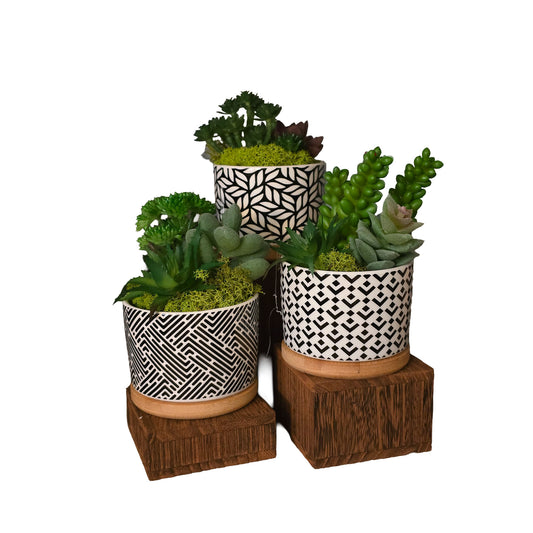 Southwest Succulent Mini Pot - Arid Desert Design