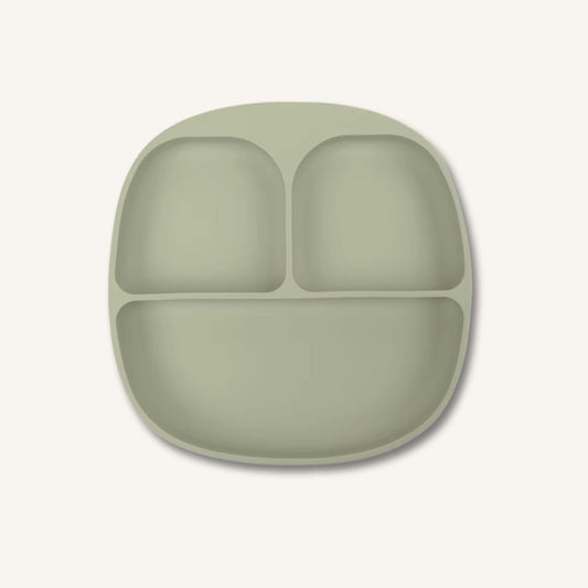New Silicone suction kids plate w/ dividing sections Fern