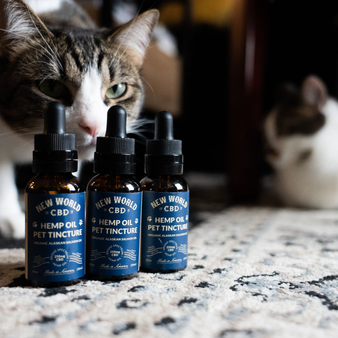 New World CBD Pet Oil 250mg