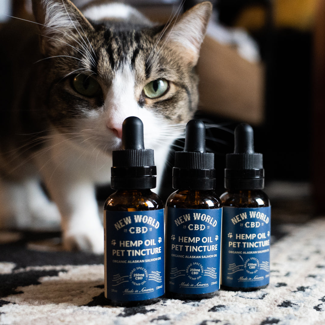 New World CBD Pet Oil 250mg